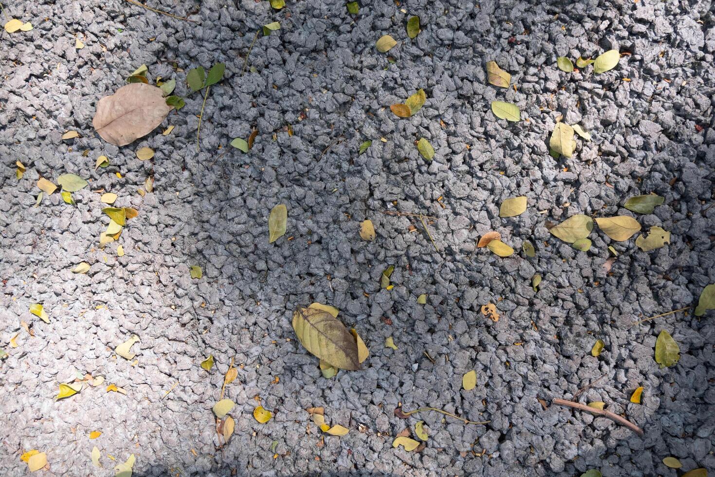 Light grey color small stones on ground surface with yellow fallen leaves texture top view photo