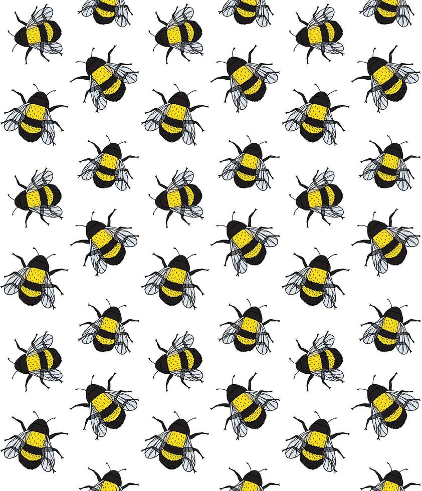 Seamless pattern of color sketch bumblebee vector