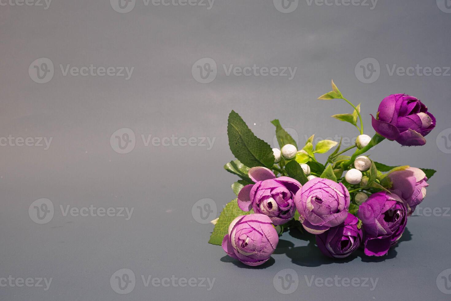 A bouquet of purple roses on grey background. A purple roses with copy space photo