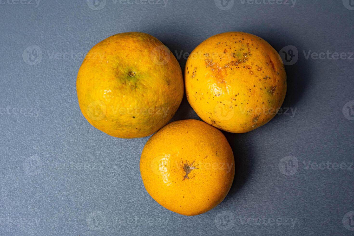 Three oranges on grey background. photo