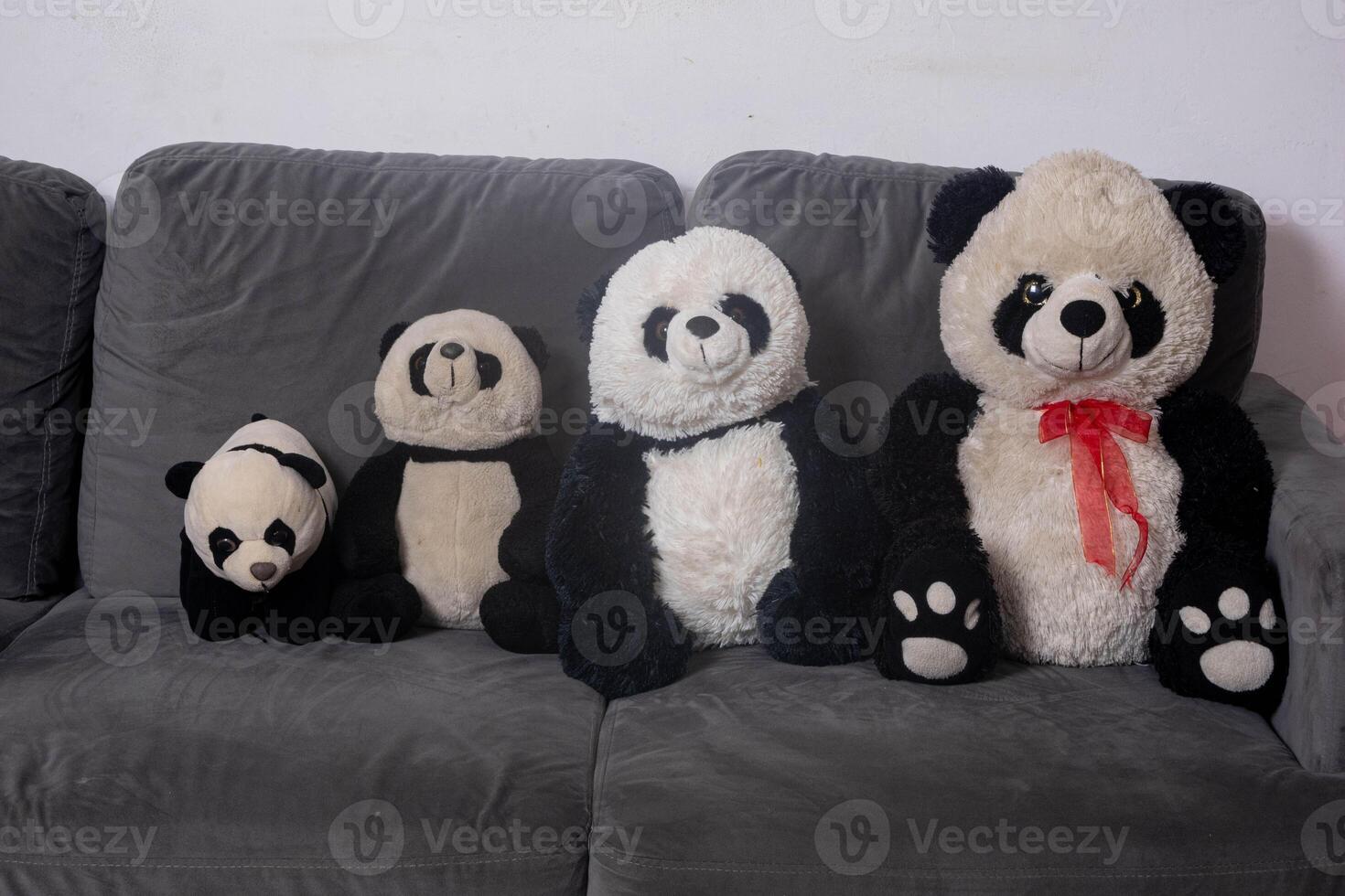 Black and white stuffed panda bears in a row. Soft and adorable stuffed toy. photo
