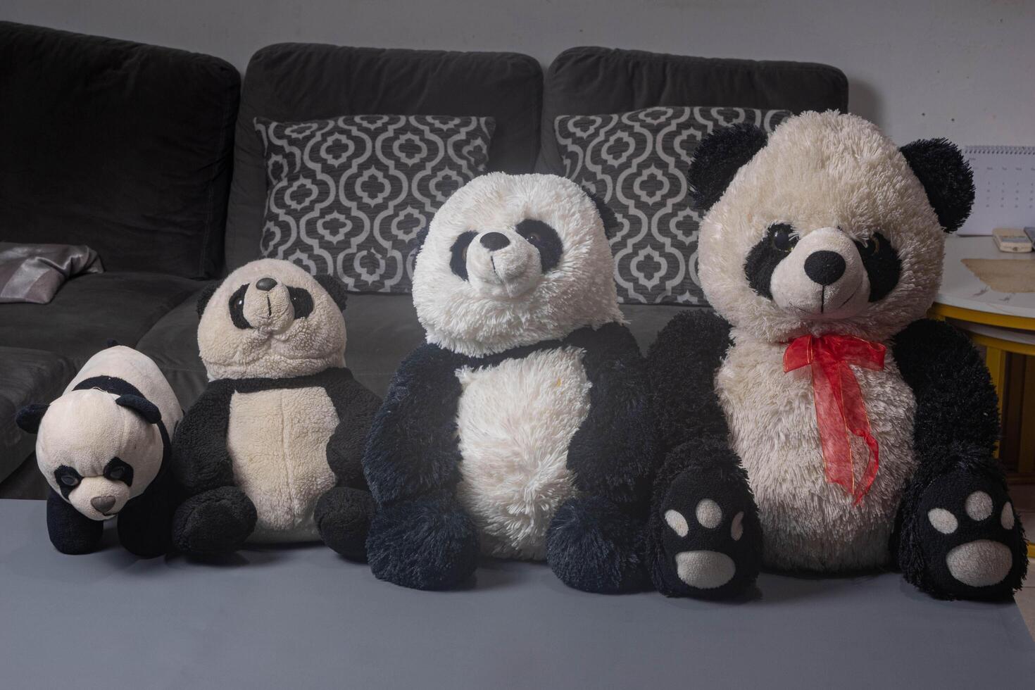 Black and white stuffed panda bears in a row. Soft and adorable stuffed toy. photo