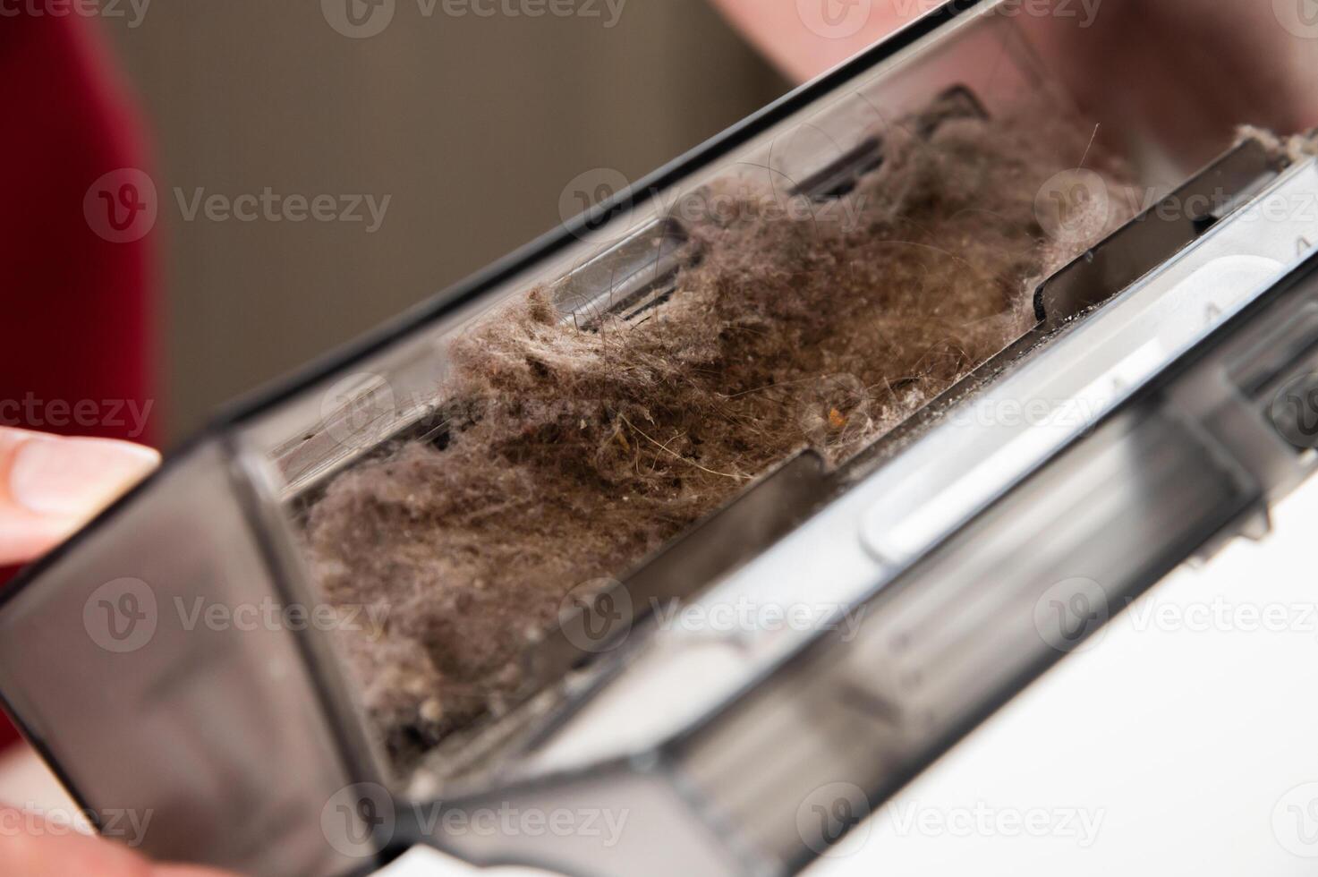 Woman taking out dust container from robot vacuum cleaner. Modern electronics for home, cleaning with technology, close-up of accumulated dust in house photo