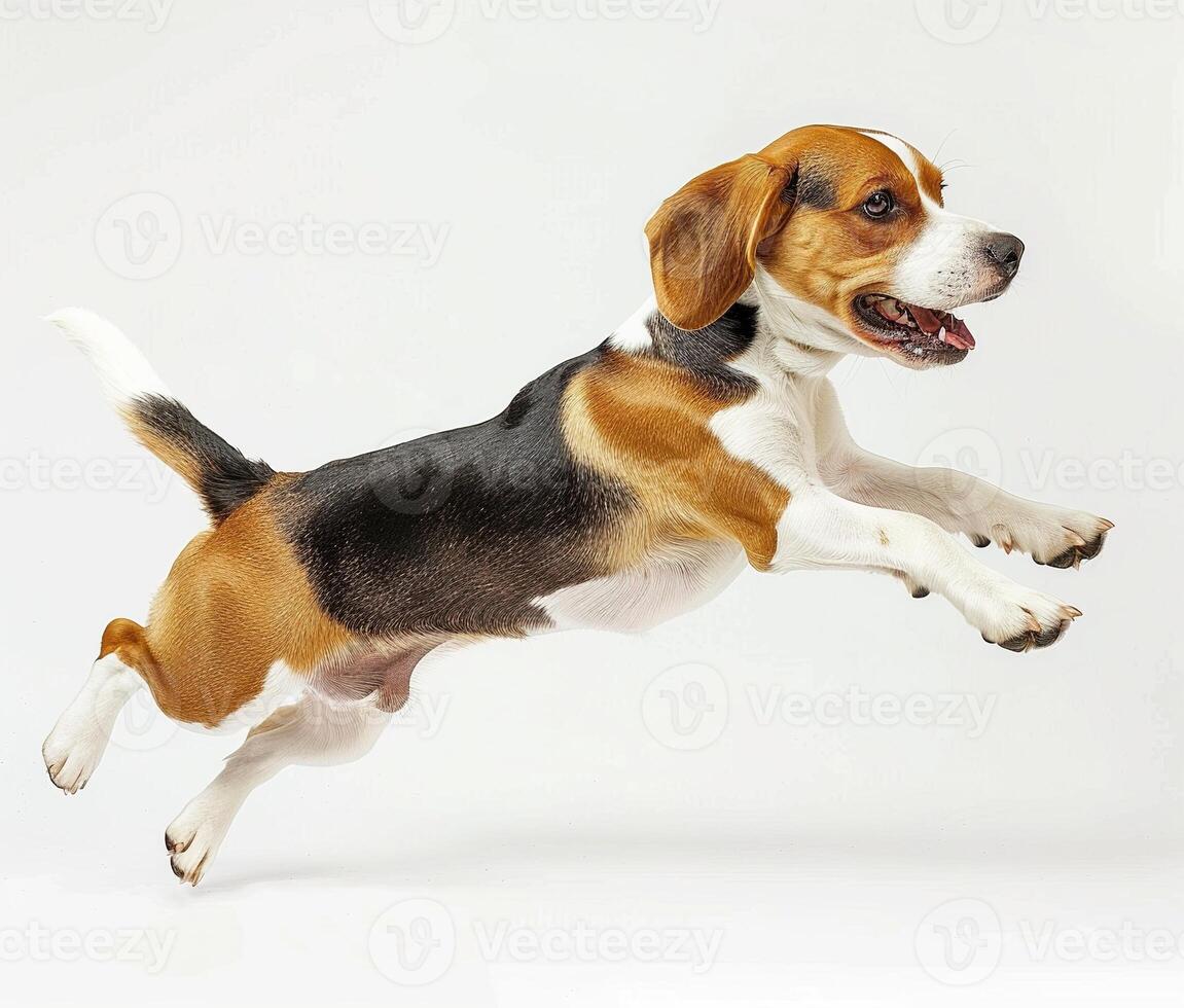 Beagle dog running and jumping, side view, white background, in the style of high definition photography, photo