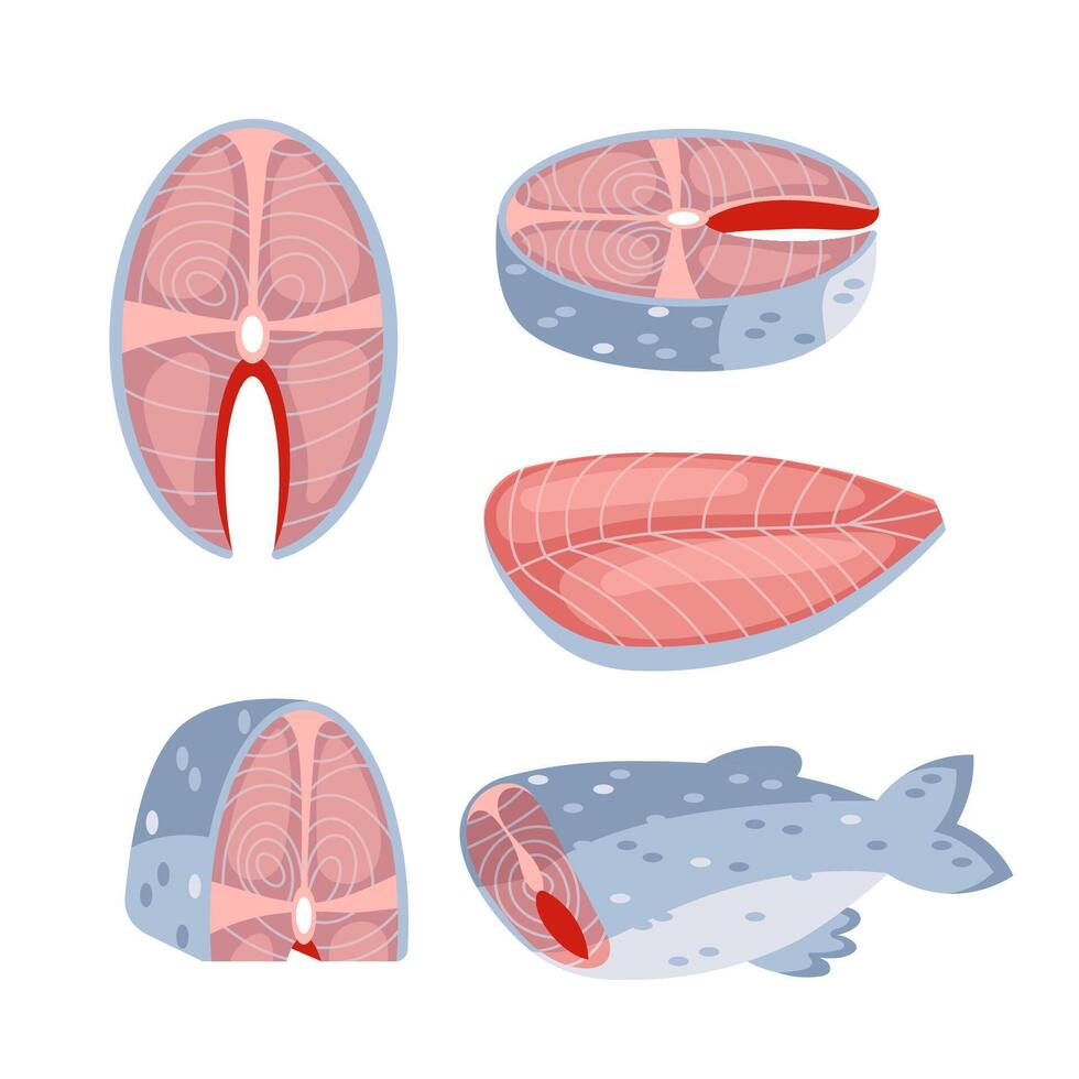 Fresh salmon slices on white background for healthy meals at home or dining out. Get raw seafood from market for tasty dinner or lunch vector