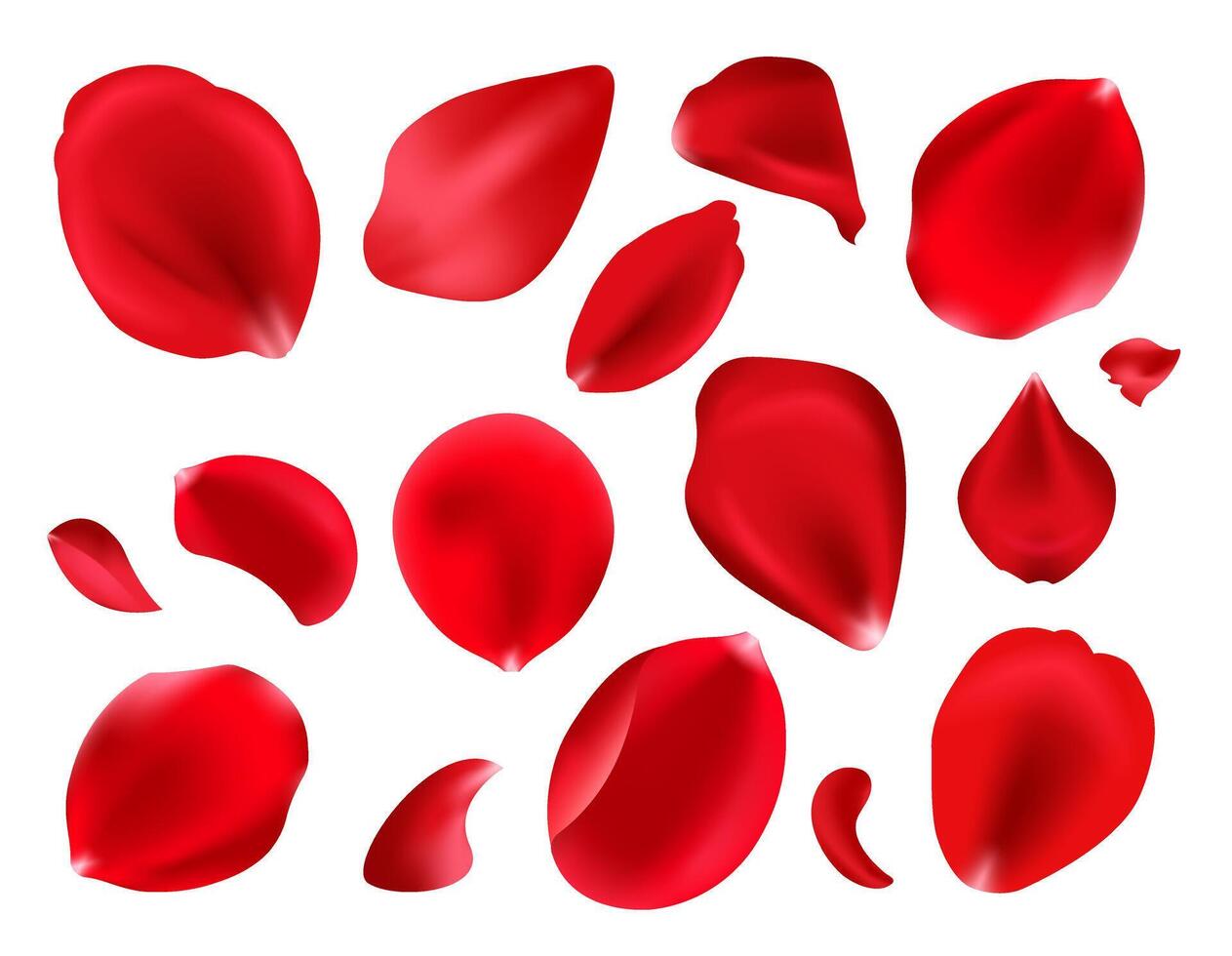 Realistic elements set of rose petals. Red petals of rose flower isolated on white. isolated on white, petal illustration vector