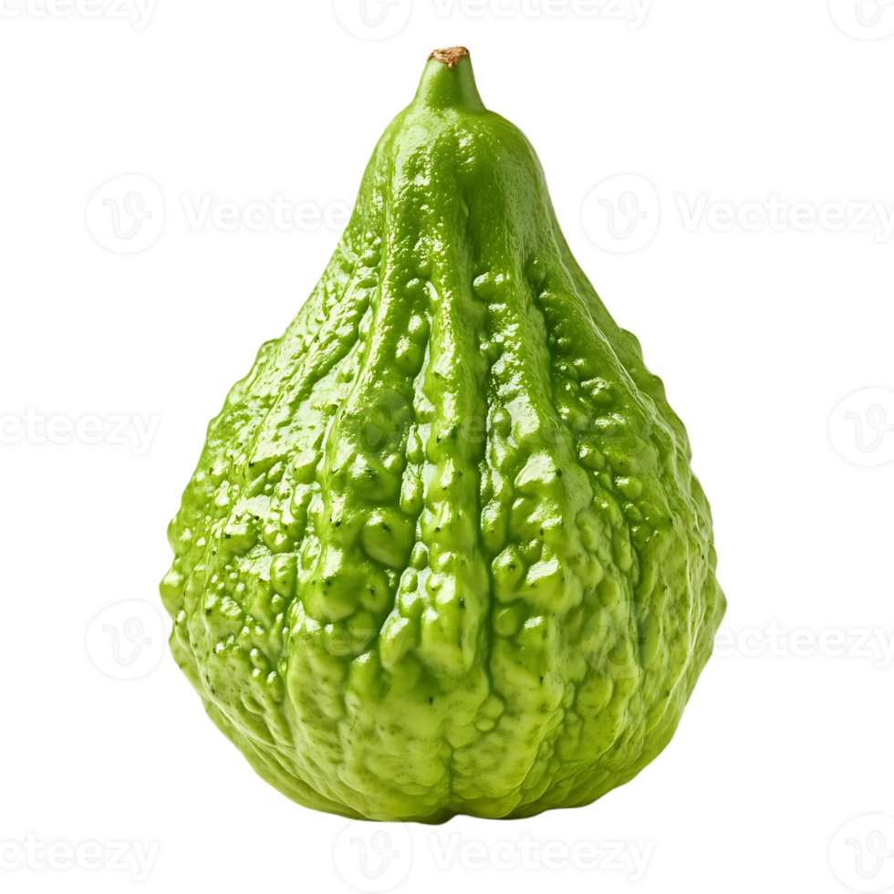 Green Chayote with Transparent Background, a Bumpy and Delicious Vegetable png