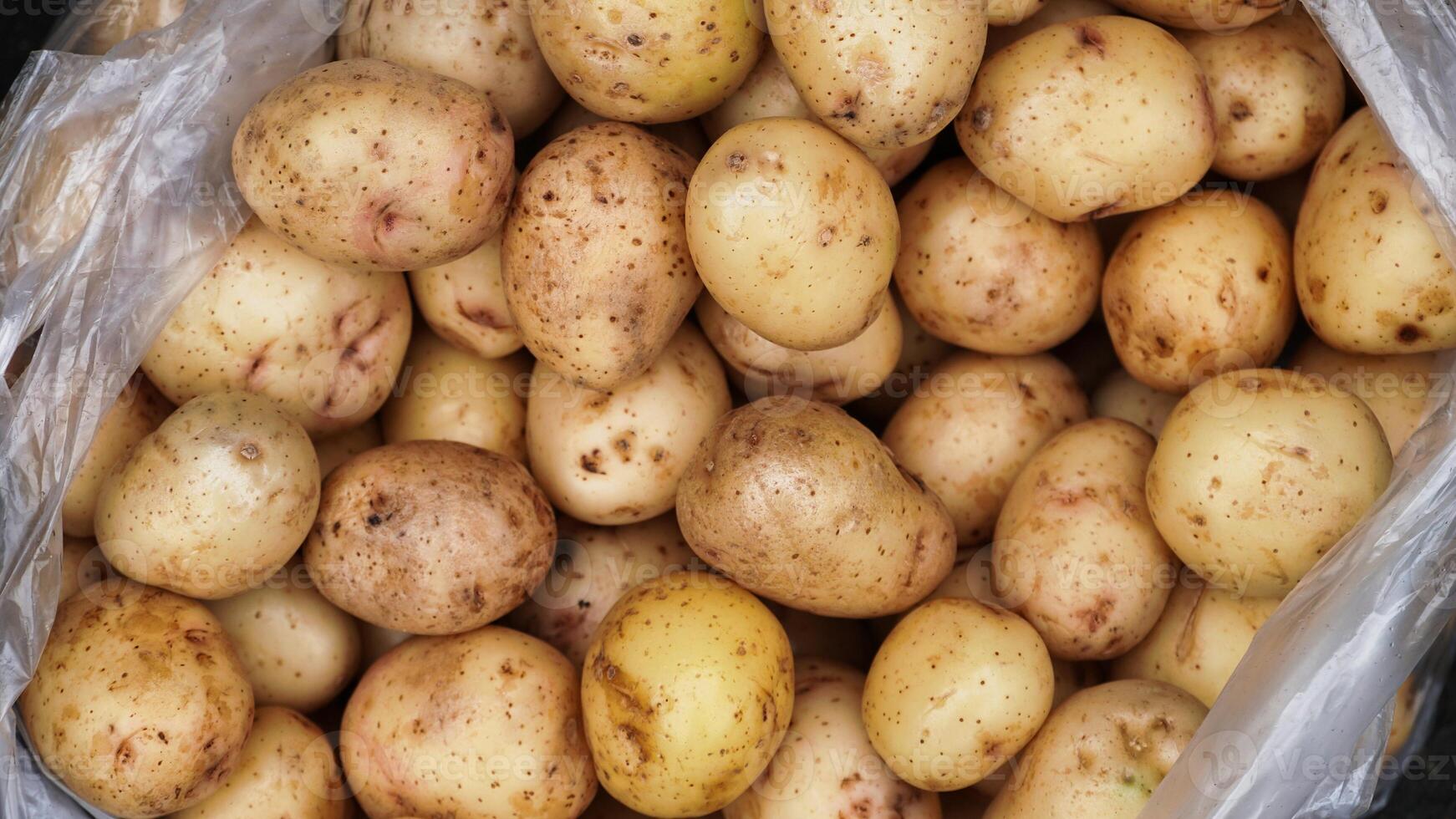 Fresh Potatoes in Plastic Bag photo