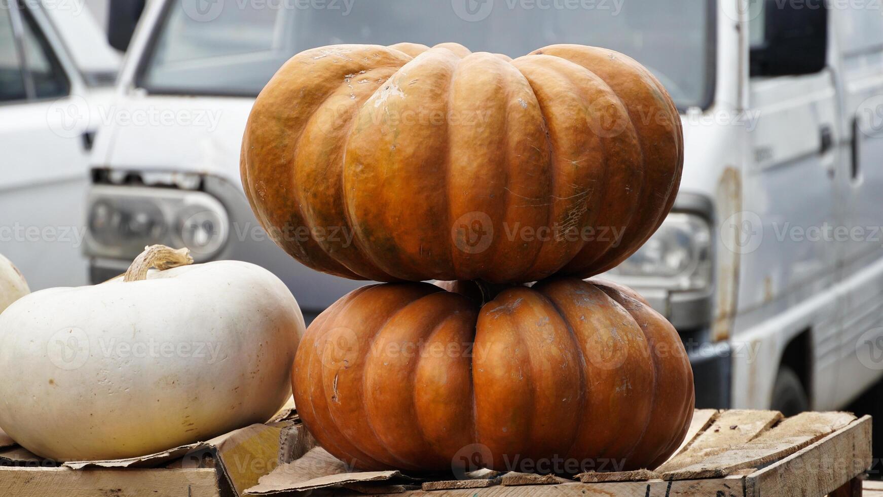 Two Pumpkins Stacked in a Market photo