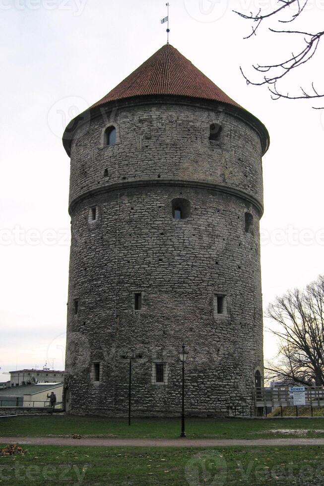 Medieval tower and museum Kiek in de Kok in park on hill Toompea in Tallinn, Estonia photo