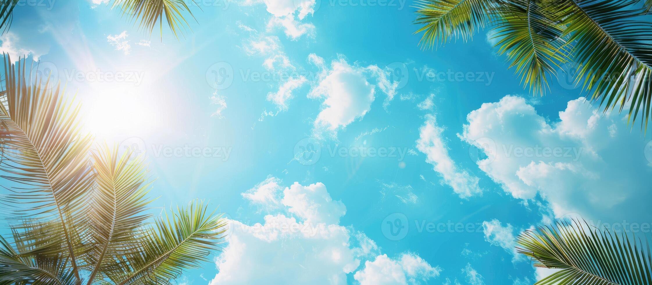 Tropical coconut Palm trees with clear blue sky below view. Beautiful summer background with copy space for travel agencies, vacations and advertisements photo