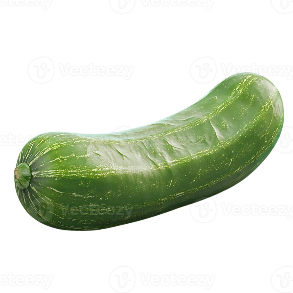 Fresh Green Zucchini with a Transparent Background png