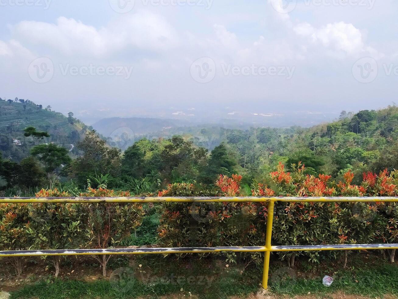 Colorful flowers with yellow fence and mountain background view photo