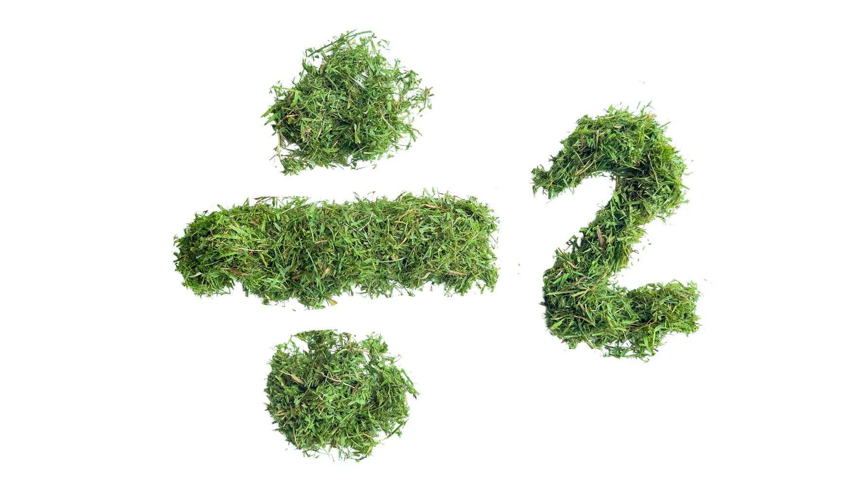 Division symbol by 2 made from grass clippings, carefully clipped with accurate paths on a white background, concept for reduce using natural resources. photo