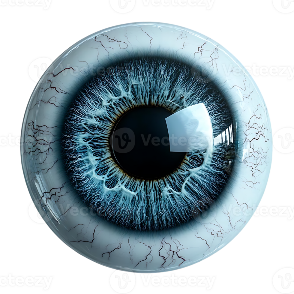 Close-Up View of a Blue Human Eye with a Transparent Background png
