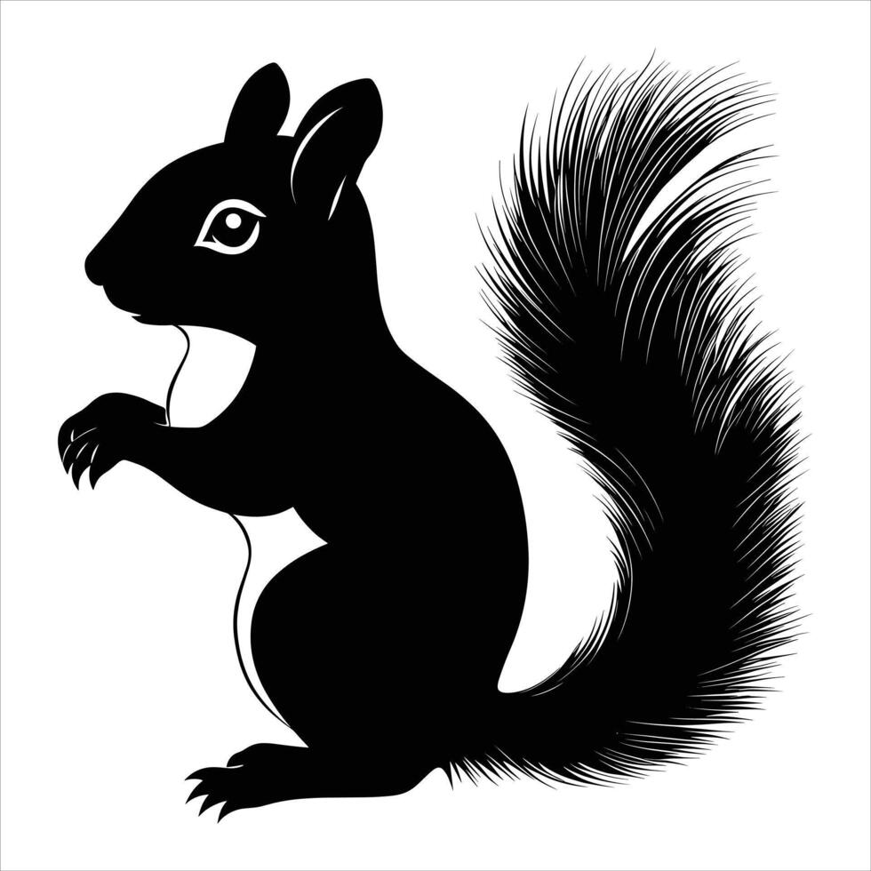 Silhouettes Squirrel Face, black and white Squirrel illustration vector