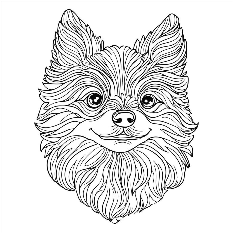 Pomeranian dog coloring page for adult vector