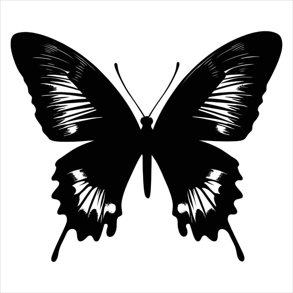 Butterfly tattoo design. animal illustration vector