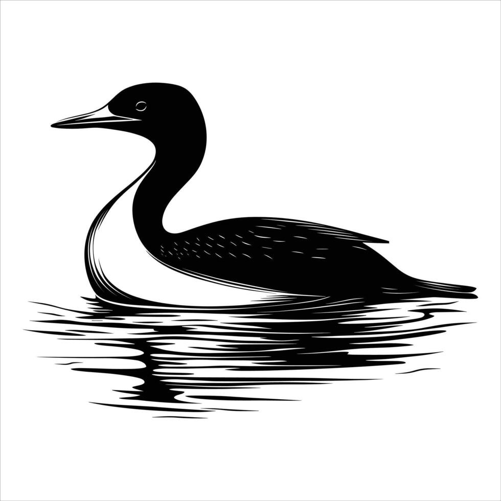 Loon silhouette illustration vector