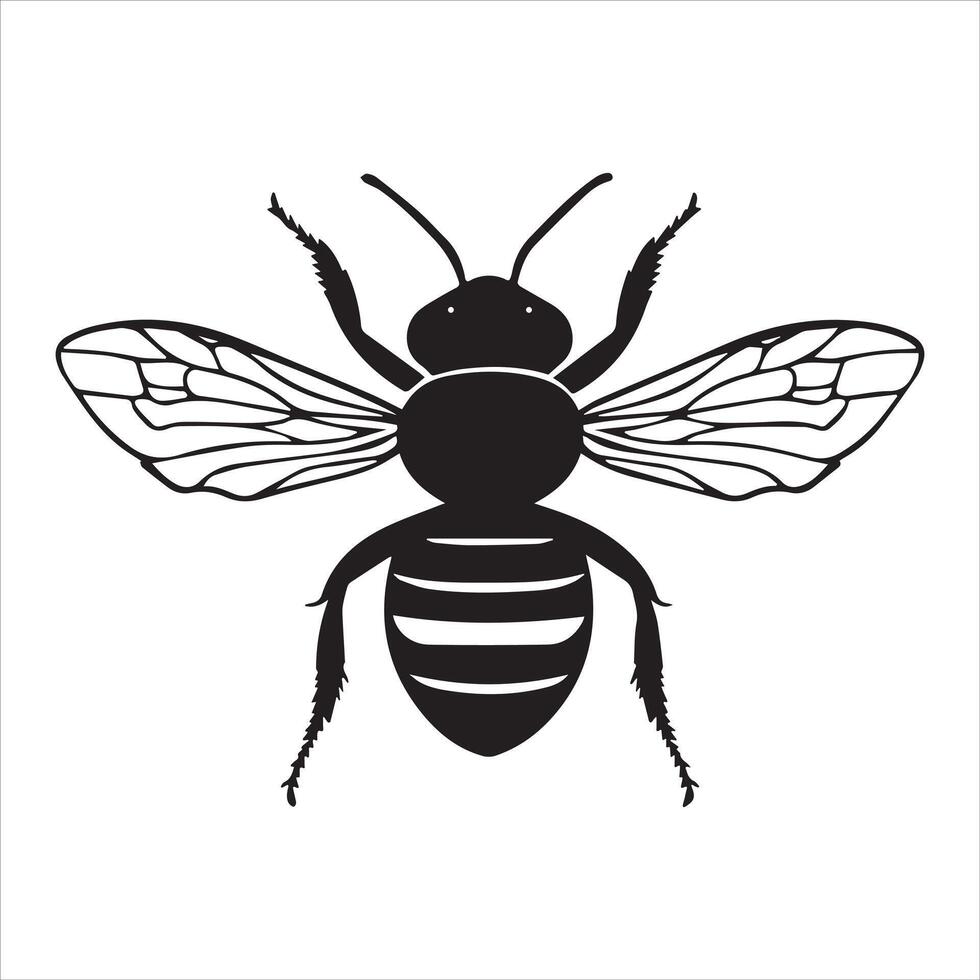 Honey Bee silhouette isolated on white background. vector