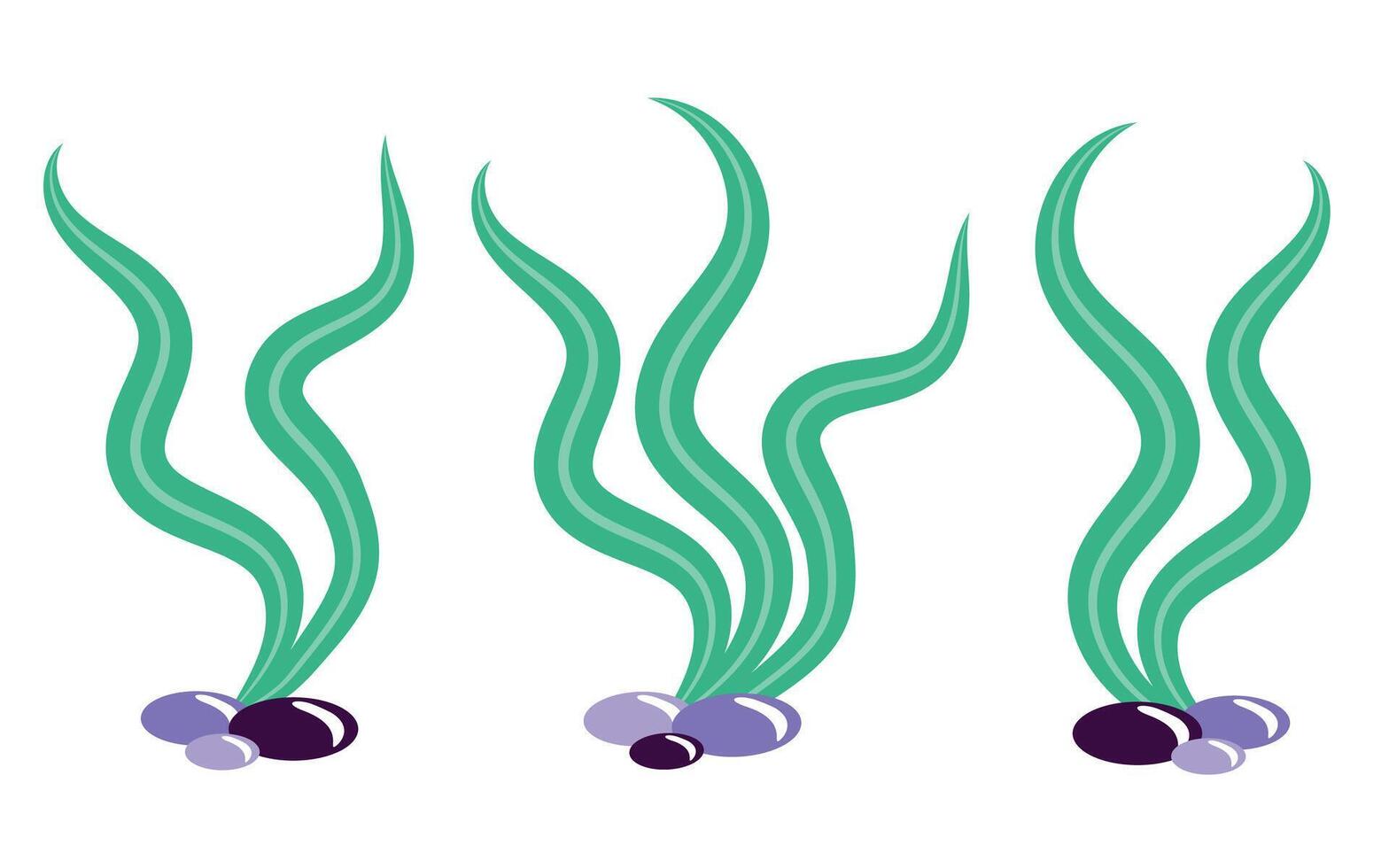 Green seaweeds set. illustration isolated on white background. Ocean, sea plants concept. Element for print, banner, card, brochure, logo. vector