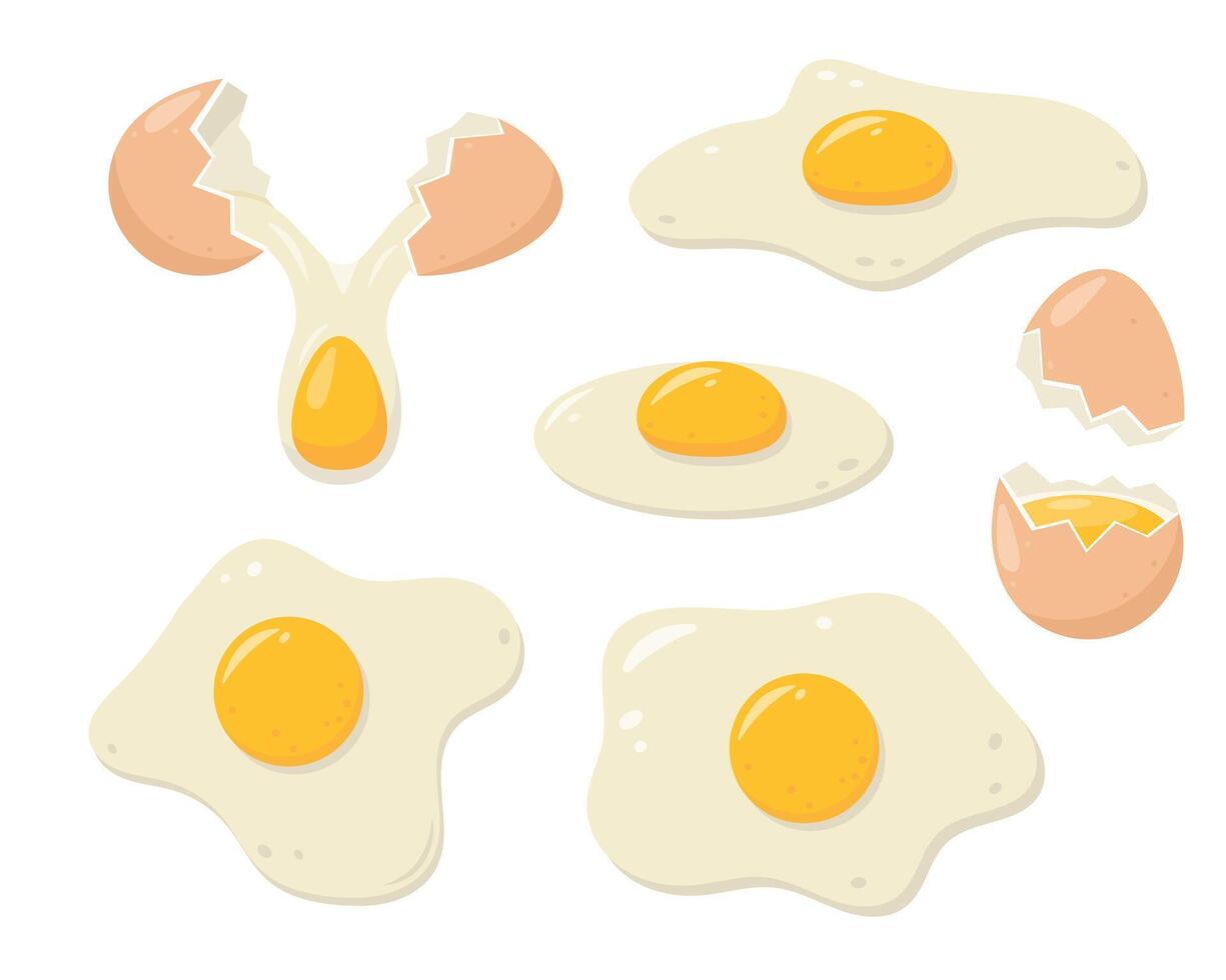 Set of fresh eggs. Broken eggs and fried eggs. Healthy organic food for breakfast. vector