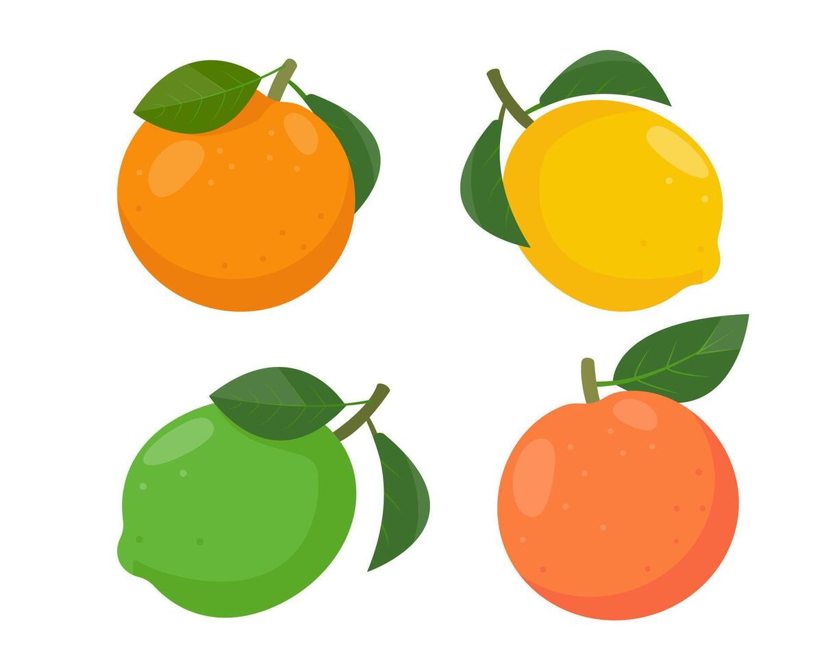 Set of citrus fruits icons. Fresh whole orange, lemon, lime and grapefruit with leaves. Organic fruits for juice, smoothie or vitamin C healthy food. vector