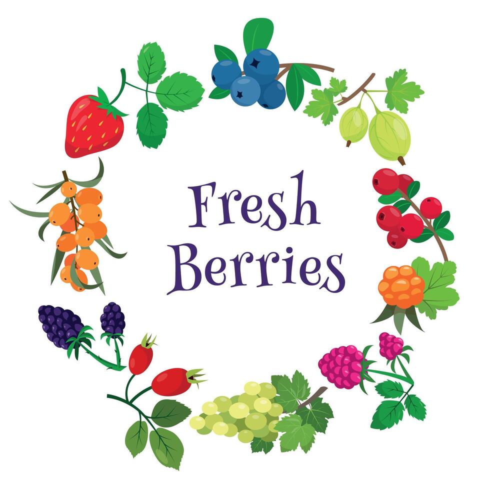 Seasonal round banner with different fresh Berries on white background. Bright juicy Berry with leaves collection in circle. vector