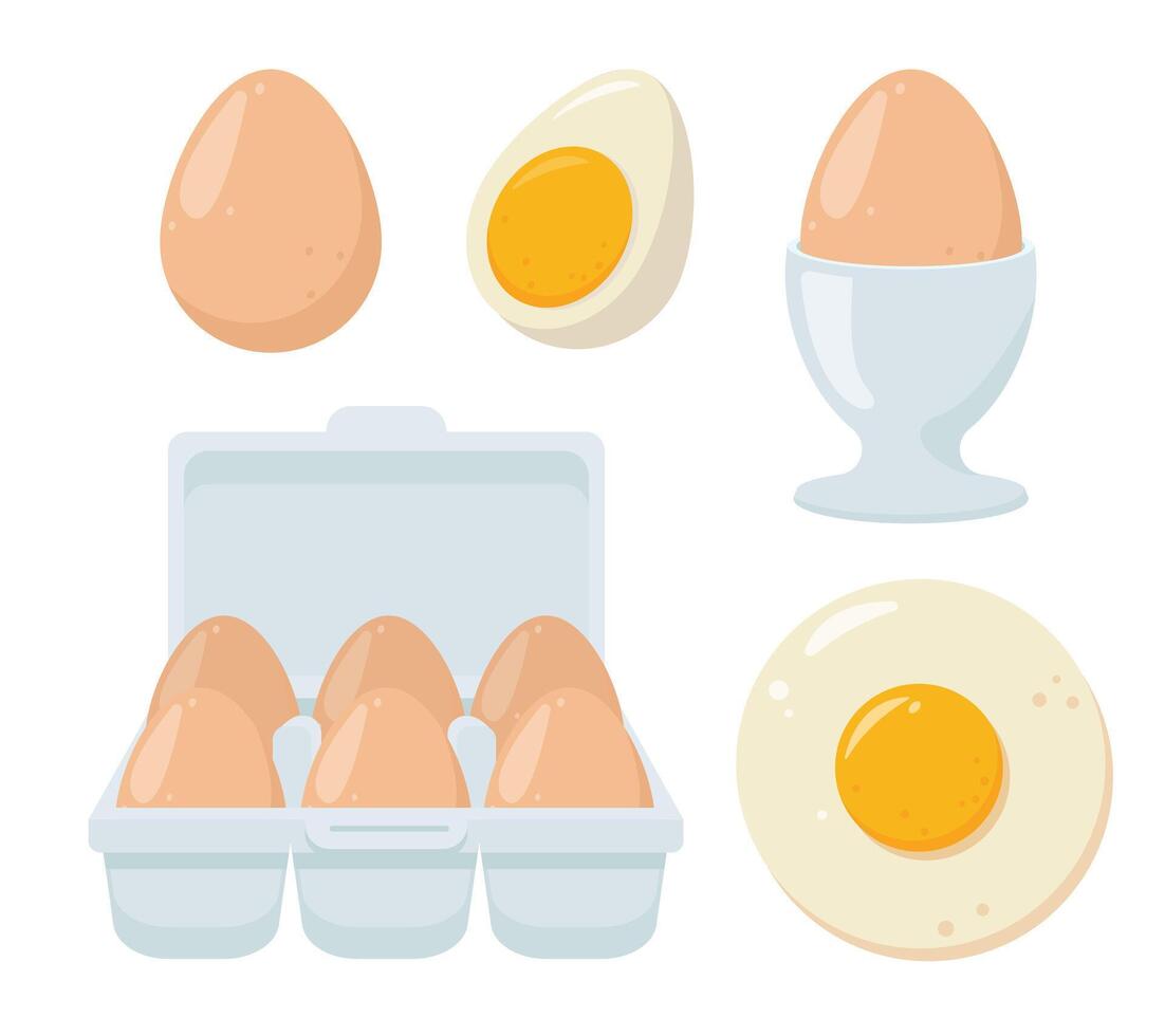Set of fresh eggs in box, fried and boiled eggs. Ingredients for baking and cooking. Healthy organic food. vector
