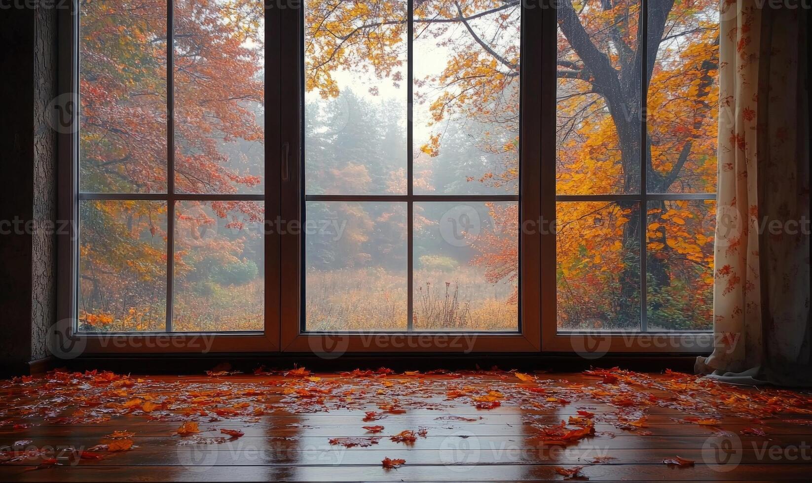 View from the large window on misty autumn landscape photo