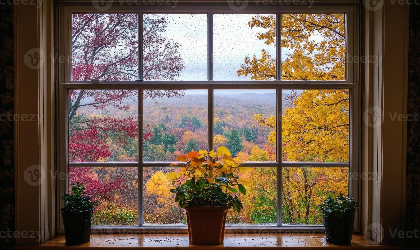 View from the large window on misty autumn landscape photo