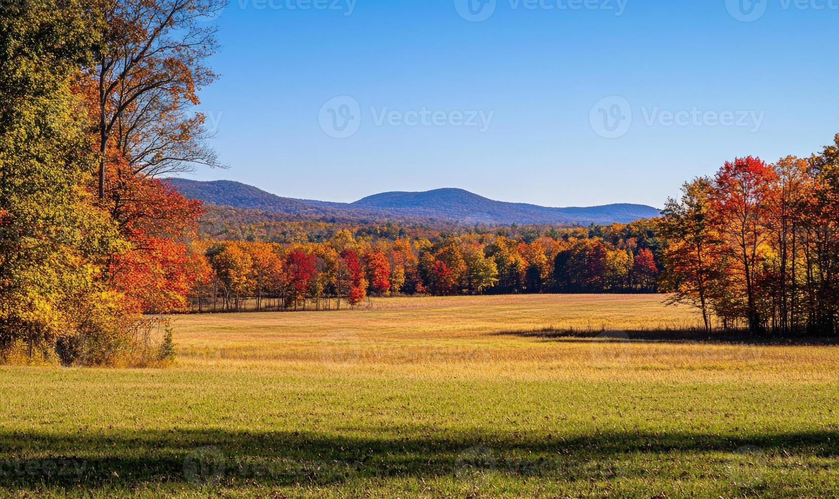 Peaceful fall landscape, open field, colorful trees, distant mountains photo