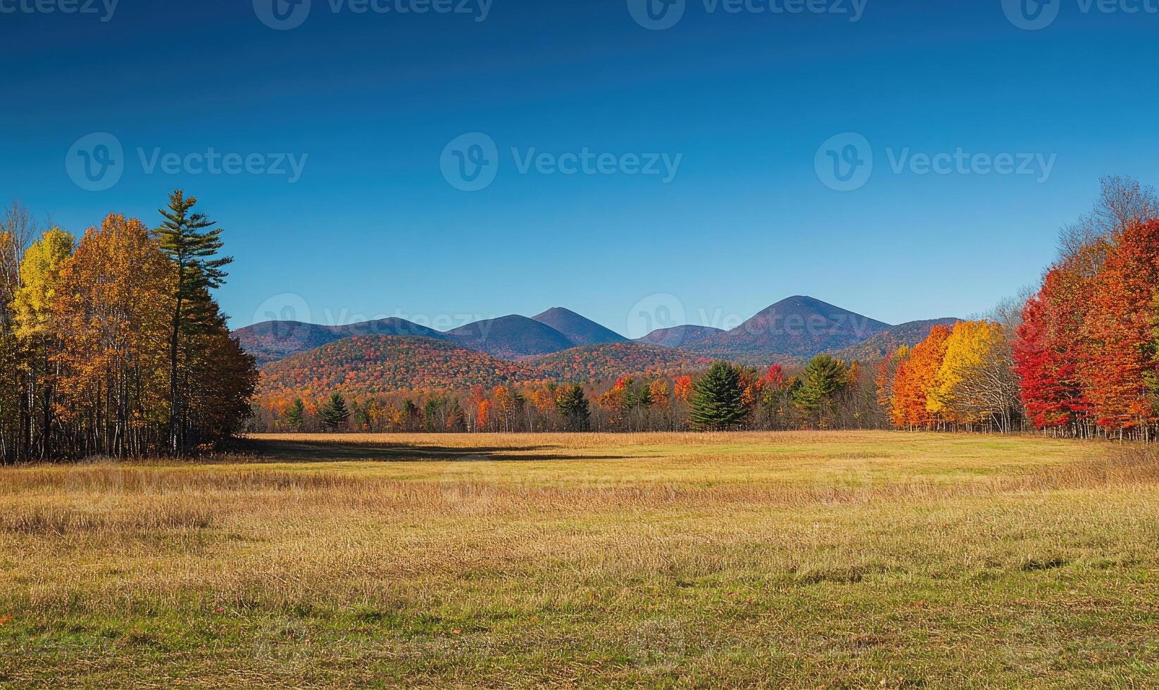 Peaceful fall landscape, open field, colorful trees, distant mountains photo