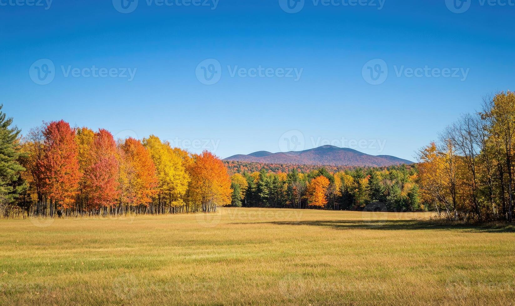 Peaceful fall landscape, open field, colorful trees, distant mountains photo