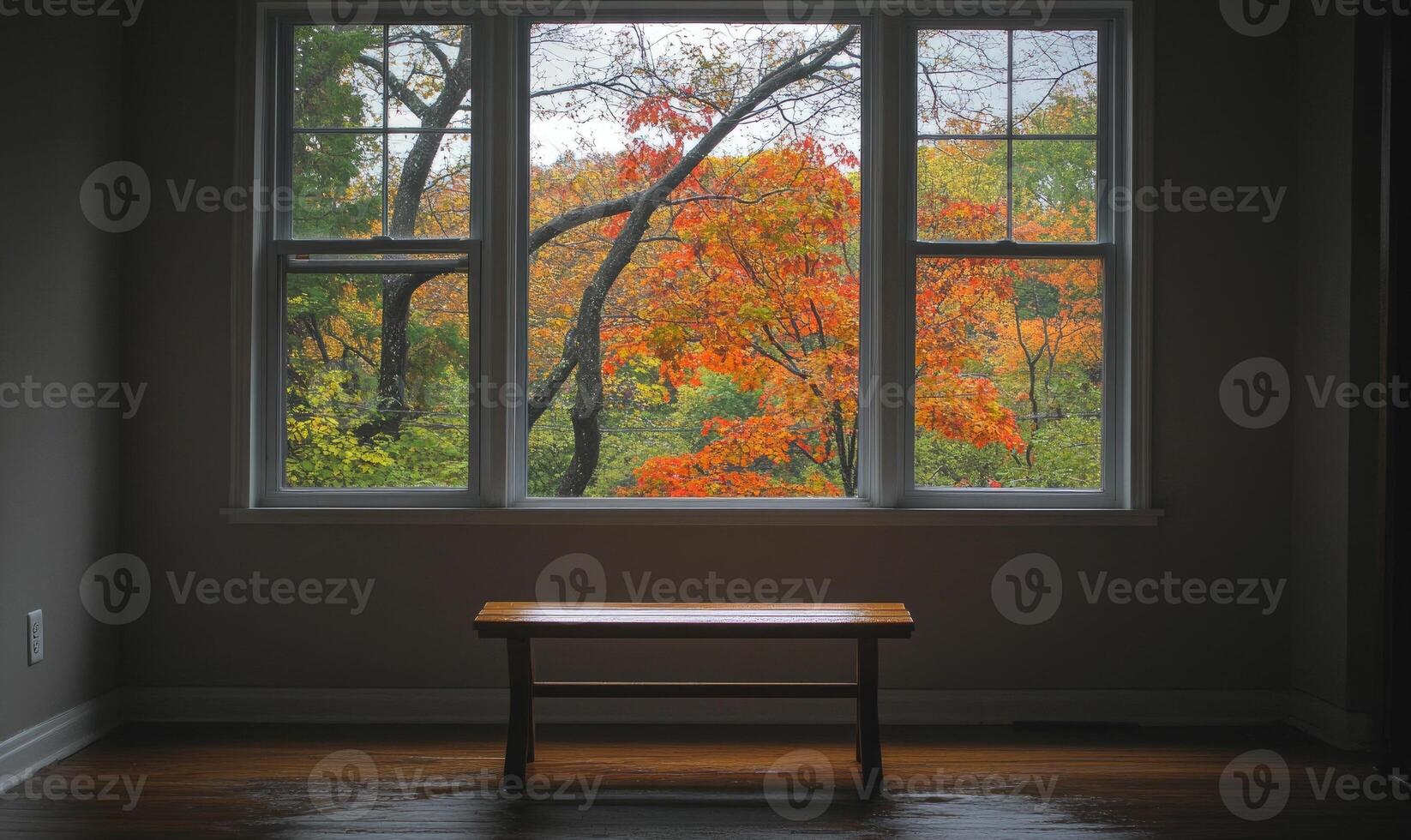 Minimalist room, wide window, overlooking rainy autumn day photo