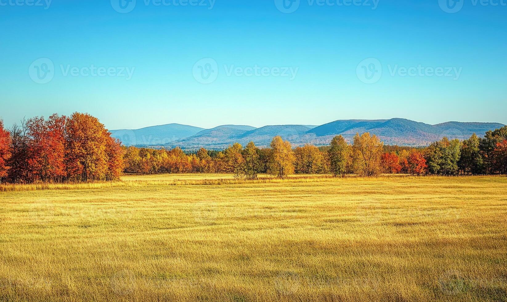 Autumn landscape, open field photo