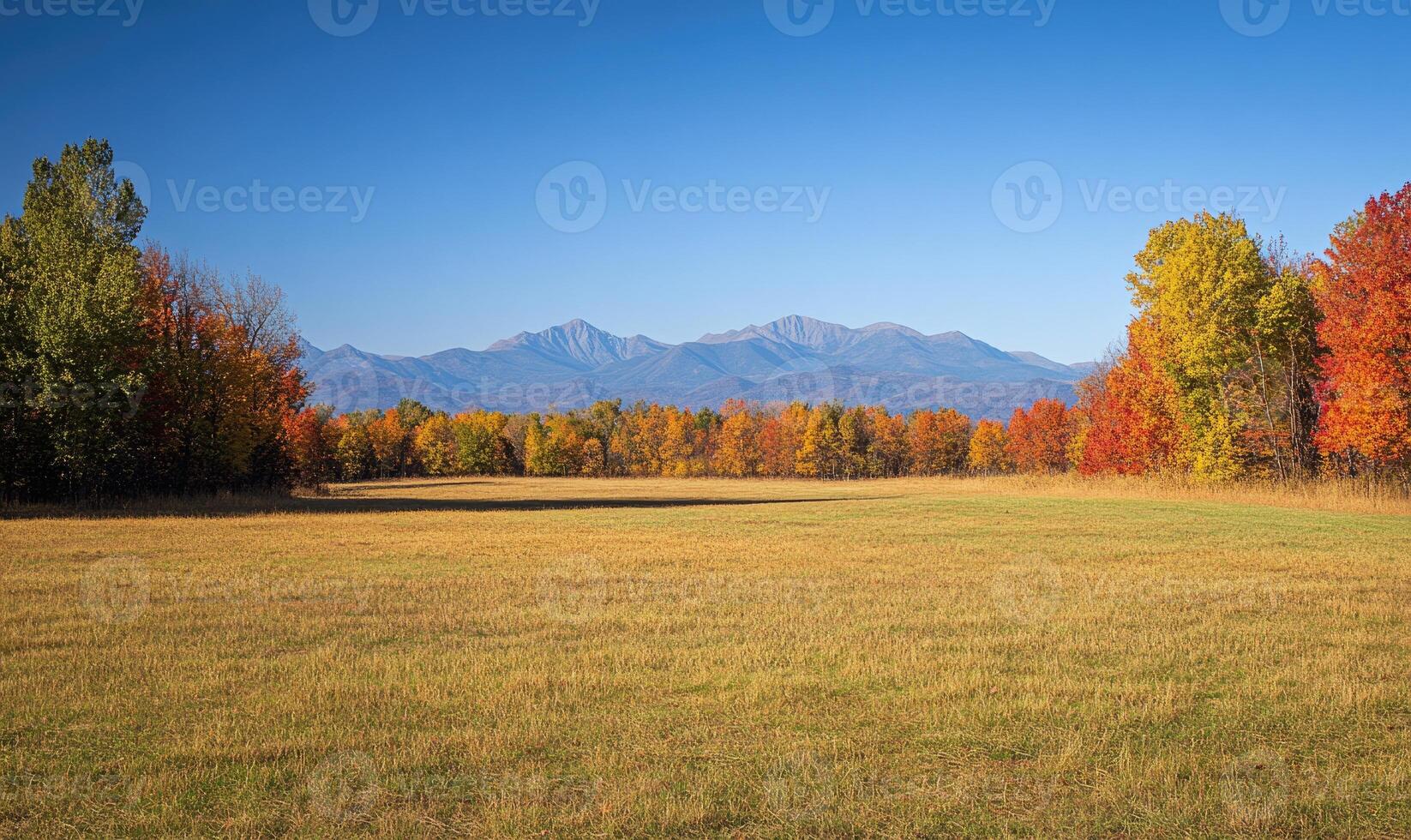 Autumn landscape, open field photo