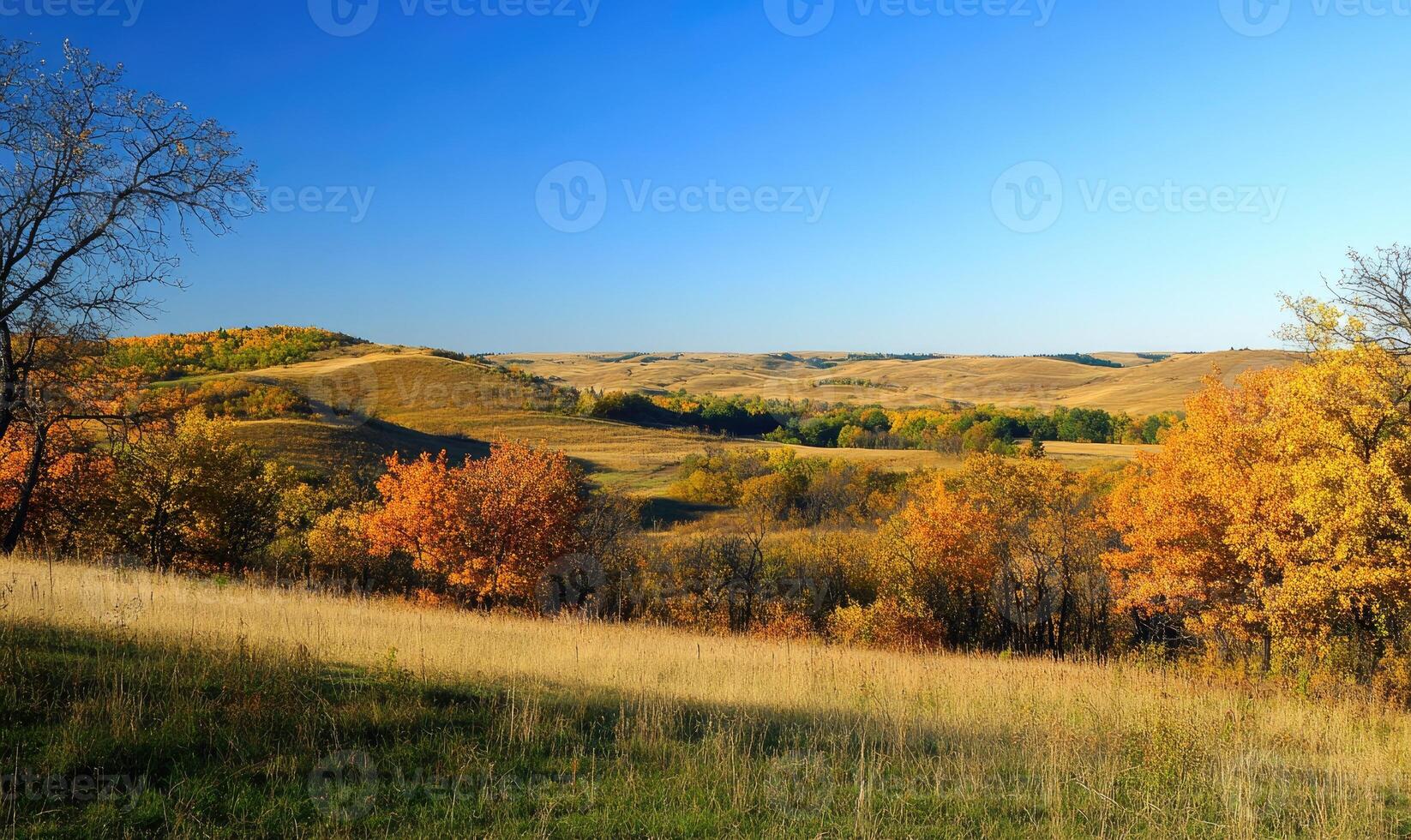 Peaceful autumn view, rolling hills, golden leaves, blue sky photo