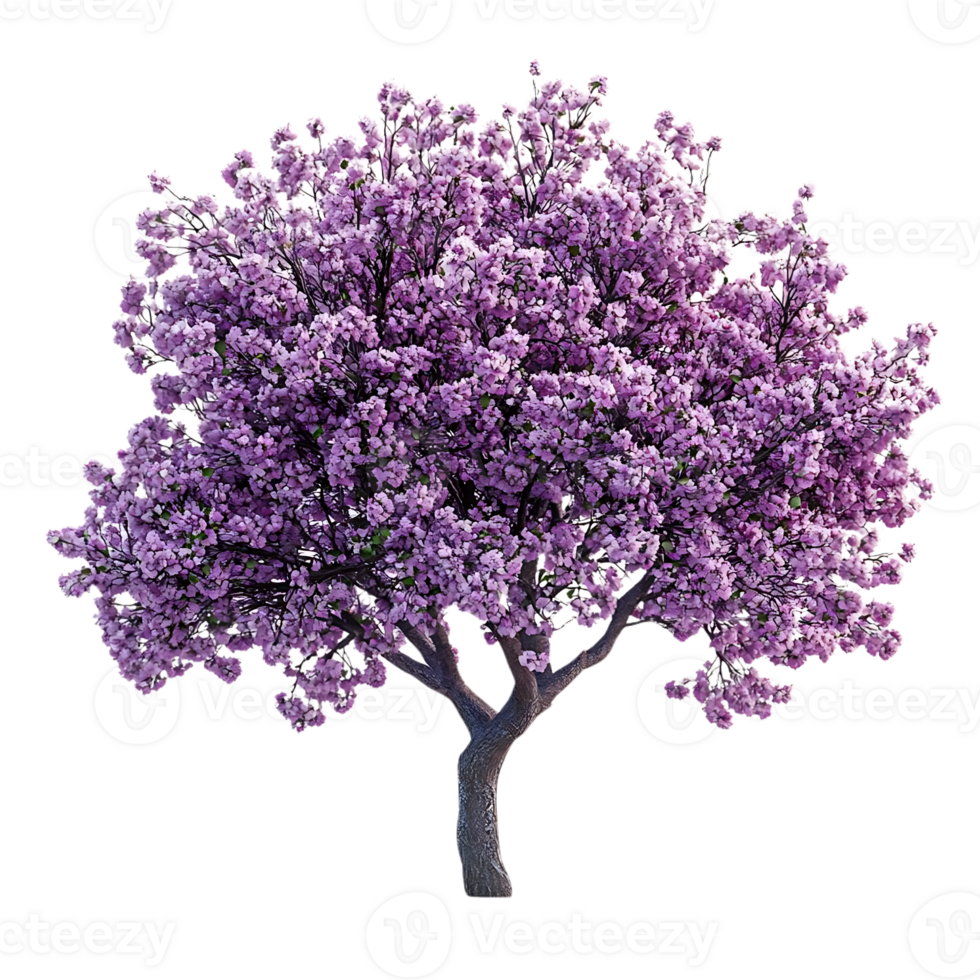 Pink Cherry Blossom Tree with Transparent Background for Digital Design and Art png