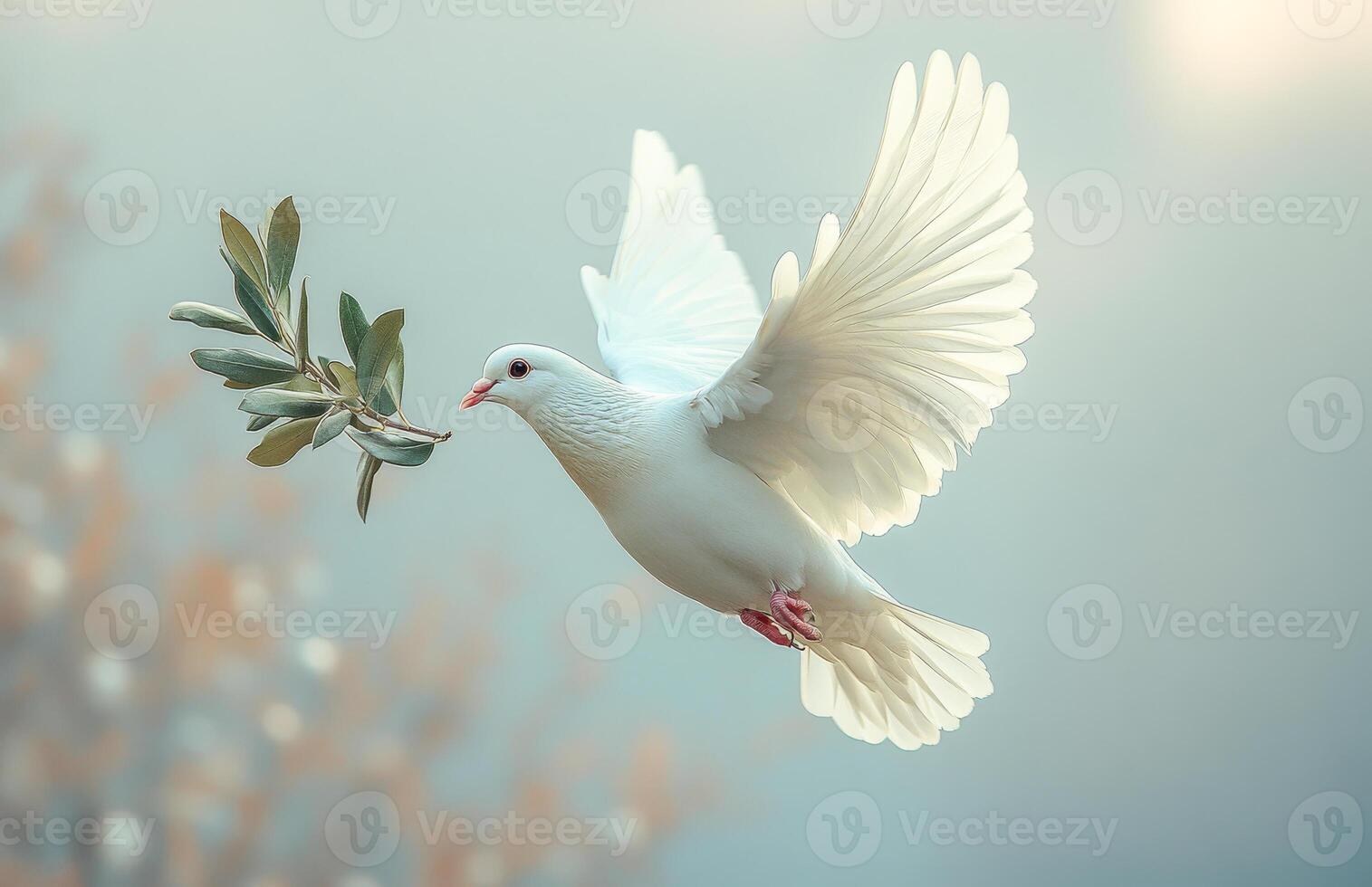 A white dove is flying with a leaf in its beak. Concept of peace and tranquility, as the dove is a symbol of peace and freedom. Dove of peace photo