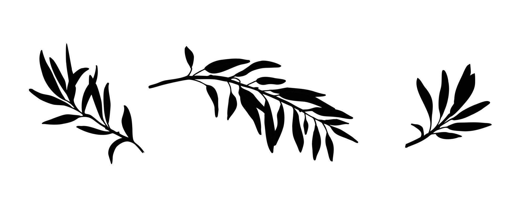 Silhouettes of Olive Branches isolated on white background. Hand drawn Botanical illustration. Can be used for cards, logos and packaging design vector