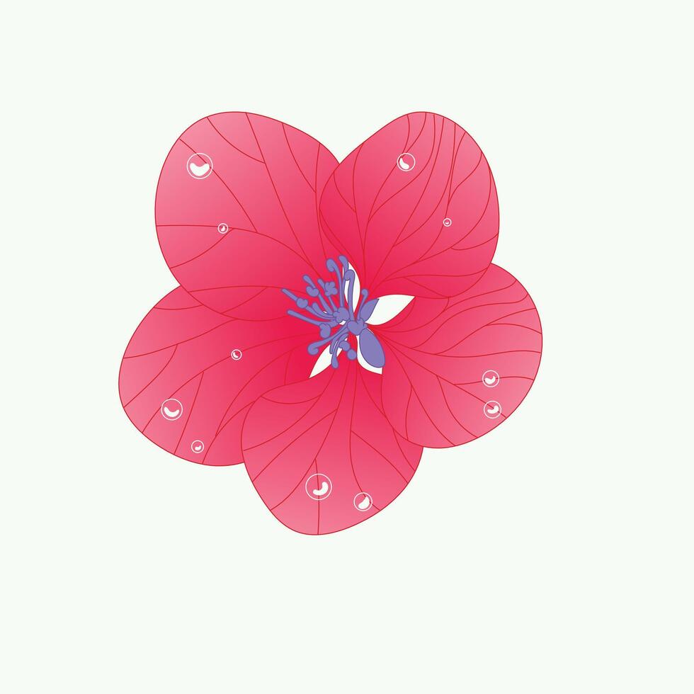illustration of pink flower covered in dewdrops vector
