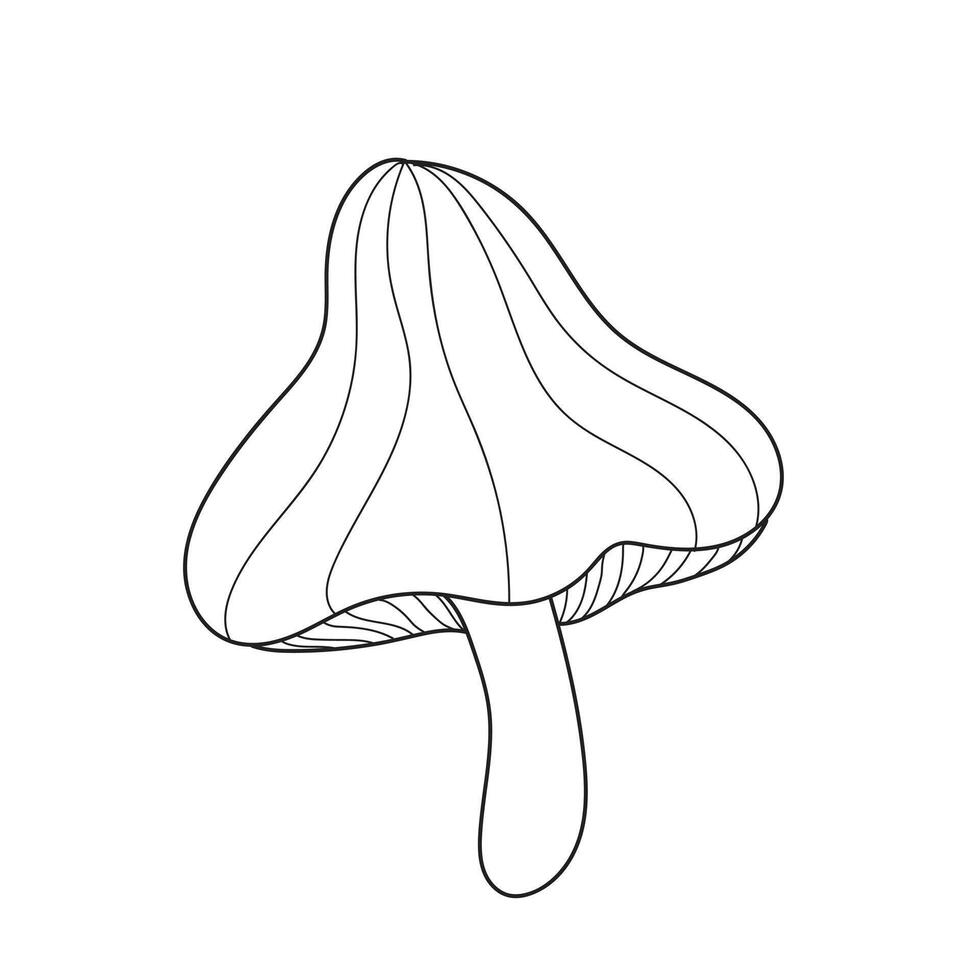illustration of mushroom image with lines, black and white vector