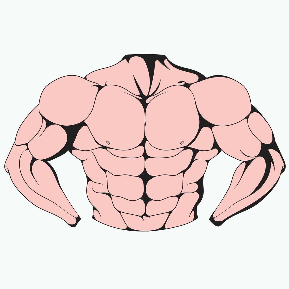 illustration of a muscular bodybuilder vector