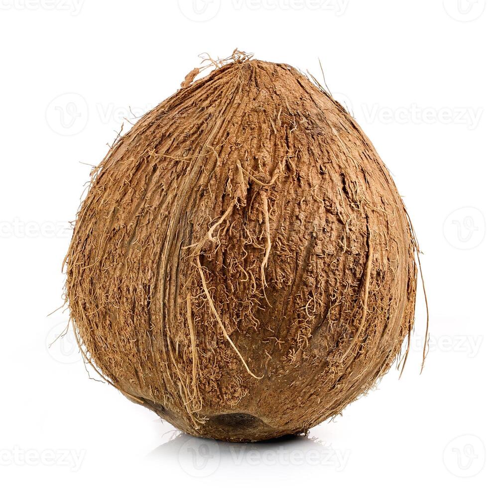 fresh ripe whole coconut fruit photo