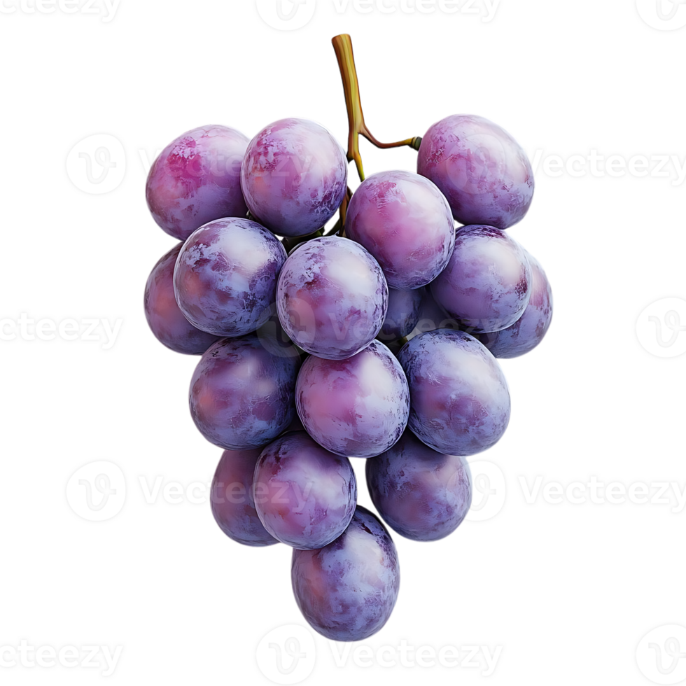 púrpura uvas con un transparente fondo, Perfecto para digital diseño y gráfico proyectos png