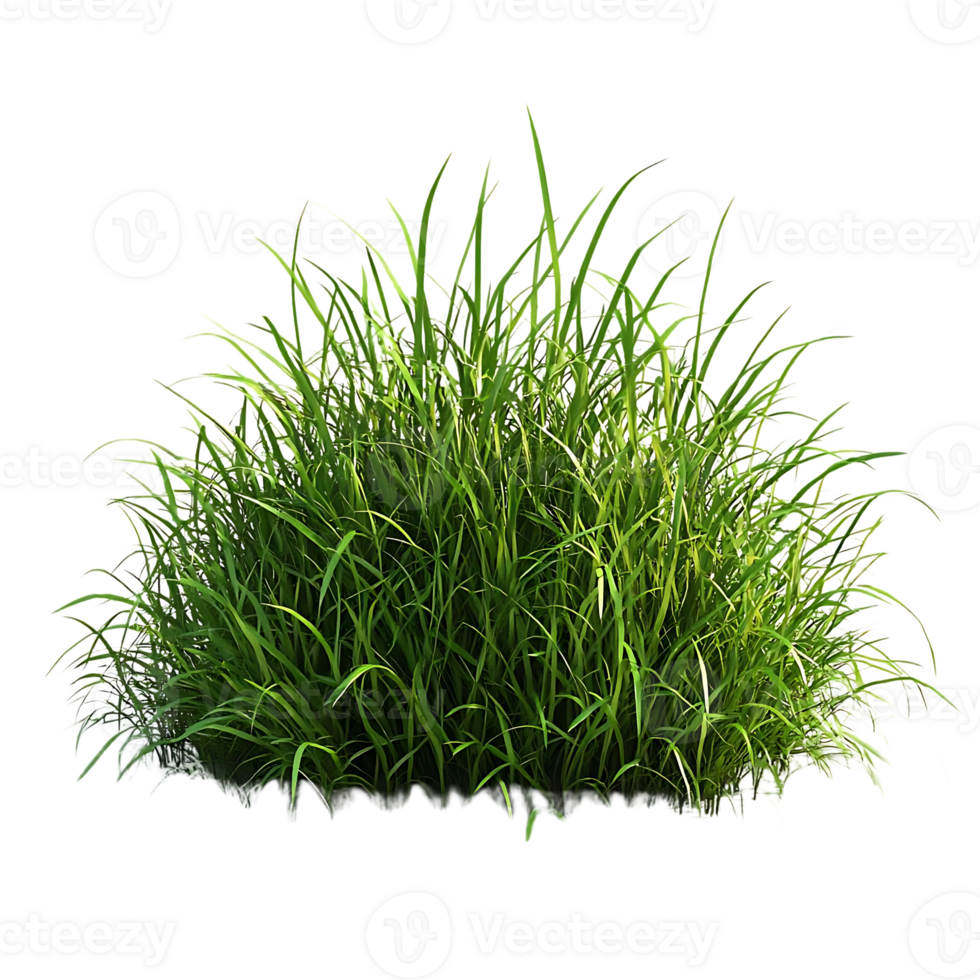 Lush Green Grass with a Transparent Background - Perfect for Landscaping and Design Projects png