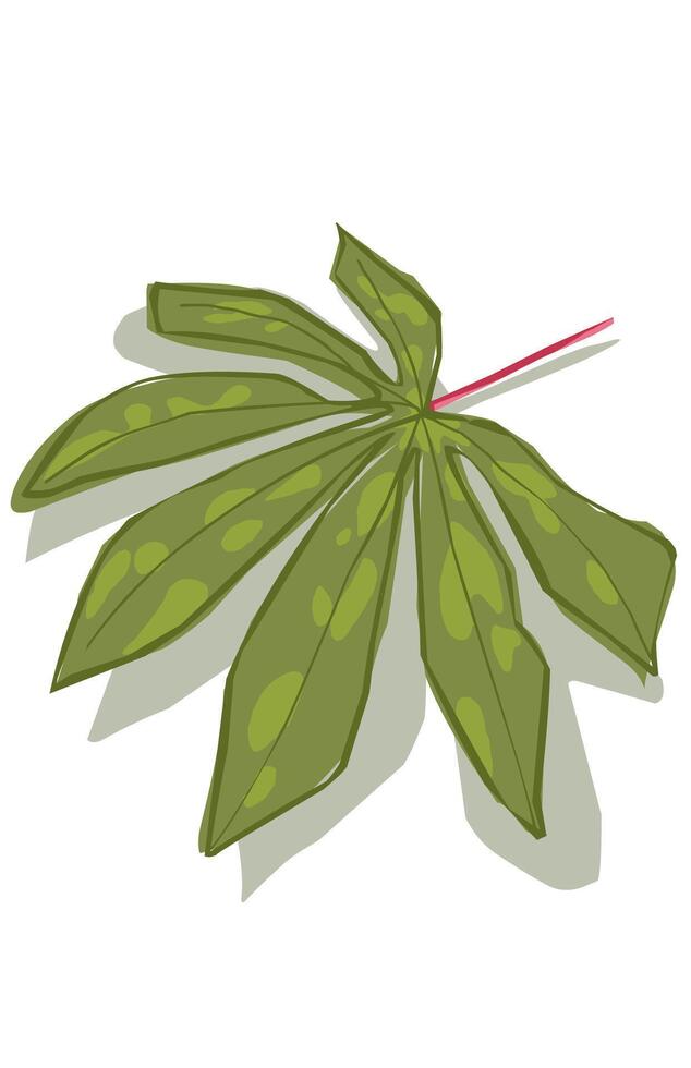 illustration of green cassava leaves isolated on white vector