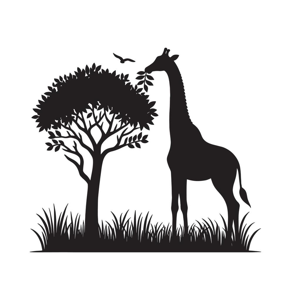 silhouette giraffe eat leaf on the tree vector