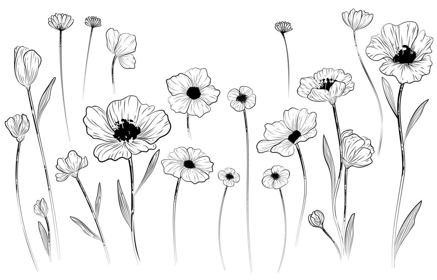 Hand painted black linear flower collection vector